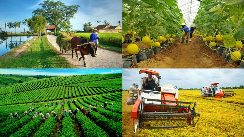 Kế hoạch phối hợp với Hội Nông dân tỉnh tổ chức Hội nghị đối thoại với nông dân năm 2024, chủ đề “Cơ chế, chính sách hỗ trợ nông dân thực hiện tốt vai trò chủ thể, trung tâm của nông dân trong phát triển nông nghiệp, kinh tế nông thôn, xây dựng nông thôn mới xanh, bền vững”
