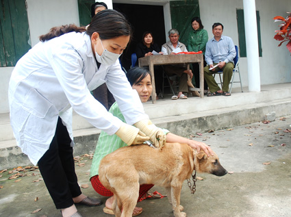 Chỉ thị thực hiện nghiêm các biện pháp cấp bách phòng, chống bệnh Dại trên động vật