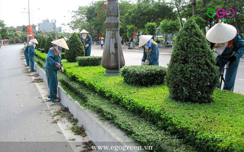 Quyết định phê duyệt kế hoạch lựa chọn nhà thầu Công trình: Duy trì hệ thống cây xanh, thảm cỏ tại Khu công nghiệp Hòa Phú năm 2024