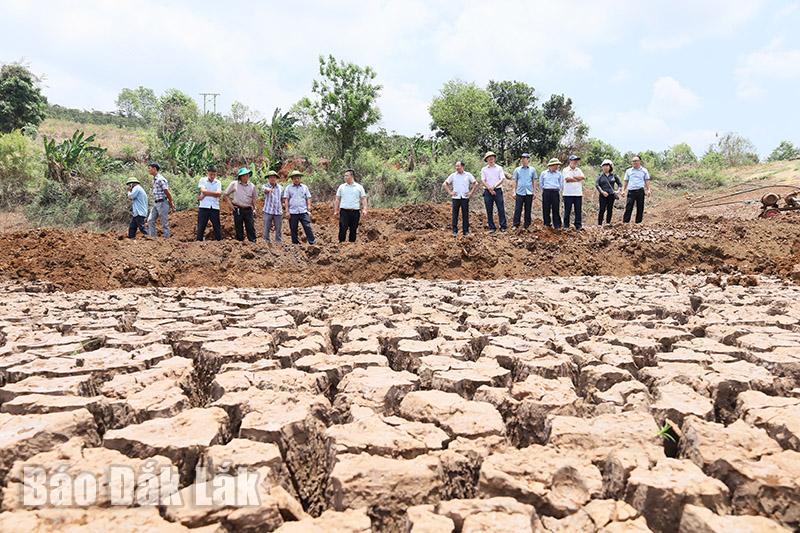Tình hình hạn hán, thiếu nước trên địa bàn tỉnh Đắk Lắk