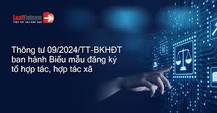 Triển khai Thông tư số 09/2024/TT-BKHĐT ngày 16/5/2024 của Bộ trưởng Bộ Kế hoạch và Đầu tư
