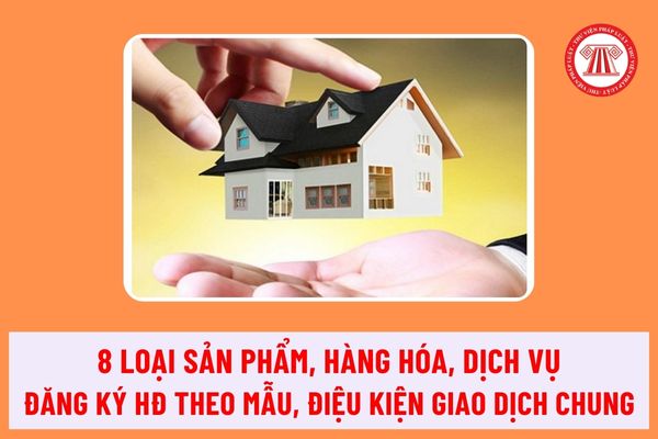 Triển khai Quyết định số 07/2024/QĐ-TTg ngày 20/6/2024 của Thủ tướng Chính phủ