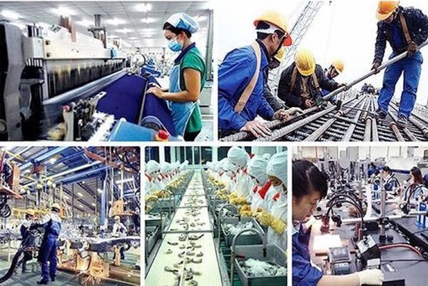 Triển khai Thông tư số 04/2024/TT-BKHCN ngày 12/6/2024 của Bộ trưởng Bộ Khoa học và Công nghệ