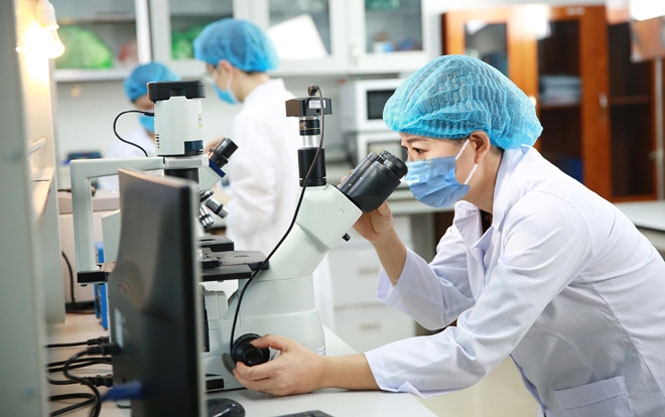 Triển khai Thông tư số 51/2024/TT-BTC ngày 18/7/2024 của Bộ trưởng Bộ Tài chính