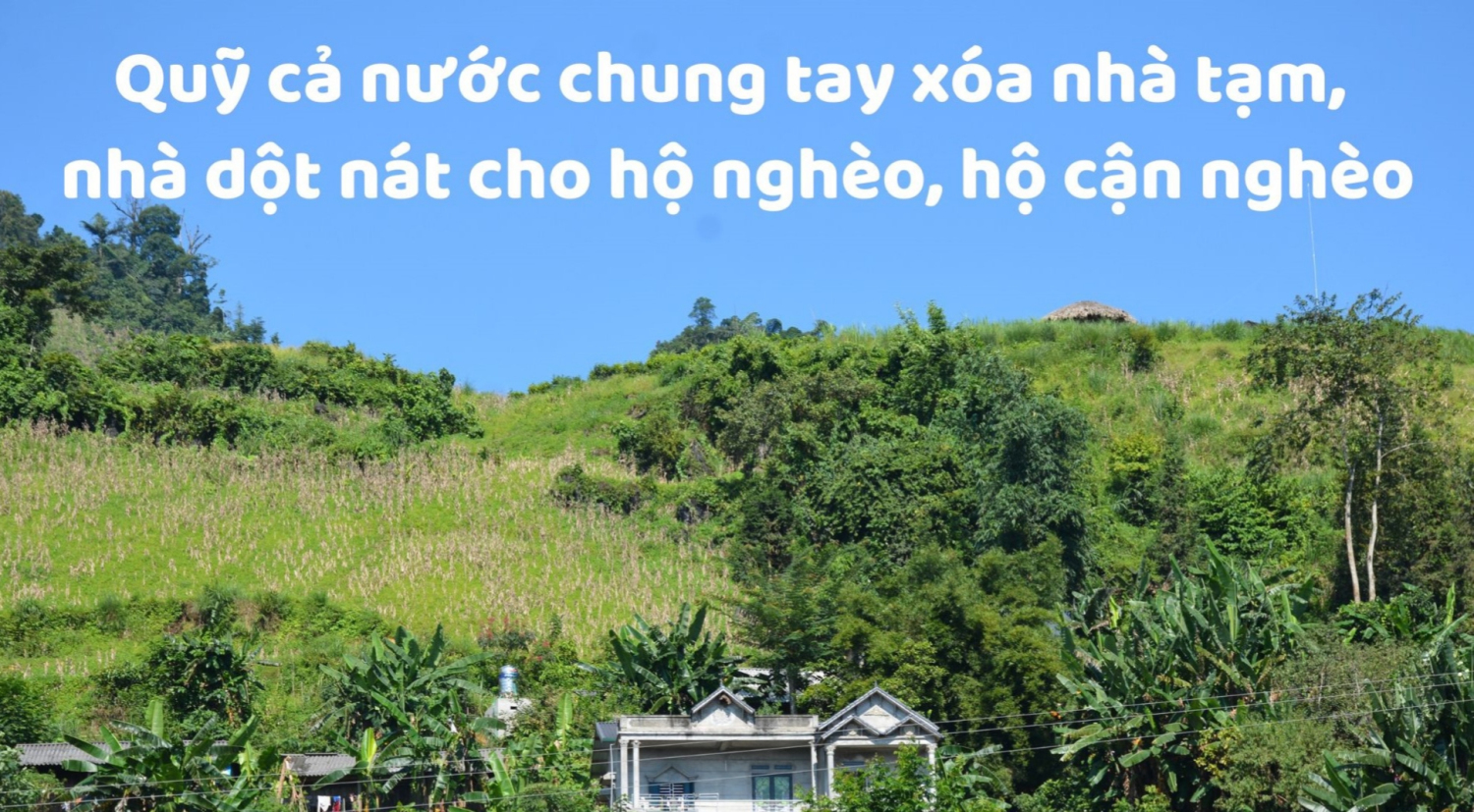 Triển khai Quyết định số 656/QĐ-TTg ngày 16/7/2024 của Thủ tướng Chính phủ