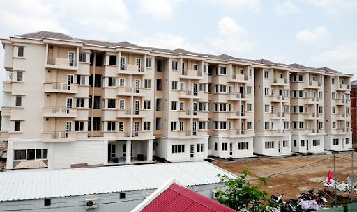 Triển khai Quyết định số 11/2024/QĐ-TTg ngày 24/7/2024 của Thủ tướng Chính phủ