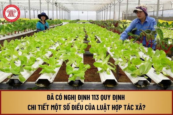 Triển khai Nghị định số 113/2024/NĐ-CP ngày 12/9/2024