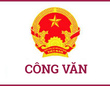 Triển khai Hướng dẫn về Đại hội đảng bộ các cấp tiến tới Đại hội đại biểu toàn quốc lần thứ XIV của Đảng
