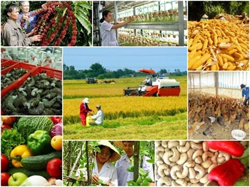 Công bố danh mục thủ tục hành chính (TTHC) ban hành mới lĩnh vực hỗ trợ Tổ hợp tác, Hợp tác xã, Liên hiệp Hợp tác xã thuộc thẩm quyền giải quyết của UBND cấp xã