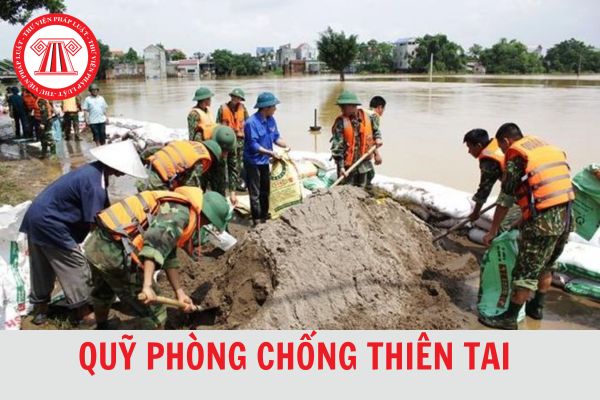 Phê duyệt kế hoạch lựa chọn nhà thầu: Nâng cấp phần mềm Quỹ Phòng chống thiên tai tỉnh