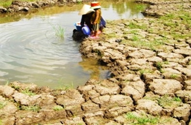 Lập nghiên cứu khả thi Tiểu Dự án tỉnh Đắk Lắk thuộc Dự án “Nâng cao hiệu quả sử dụng nước cho các tỉnh bị ảnh hưởng bởi hạn hán” do ADB tài trợ.