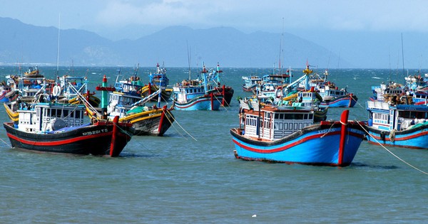 Quyết tâm gỡ cảnh báo “Thẻ vàng” đối với thủy sản Việt Nam theo chỉ đạo của Thủ tướng Chính phủ tại Công điện số 18/CĐ-TTg ngày 25/02/2026