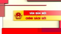 Triển khai các văn bản của Bộ Giao thông vận tải