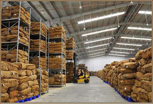 Phê duyệt quy hoạch tổng mặt bằng Dự án Kho chứa hàng hóa của Doanh nghiệp tư nhân Thuận Phúc tại xã Ea Tu, thành phố Buôn Ma Thuột