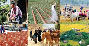 Thực hiện chính sách giảm nghèo và an sinh xã hội theo chuẩn nghèo tiếp cận đa chiều giai đoạn 2016- 2020