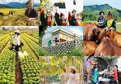 Giao nhiệm vụ triển khai Nghị định số 161/2016/NĐ-CP ngày 02/12/2016 của Chính phủ
