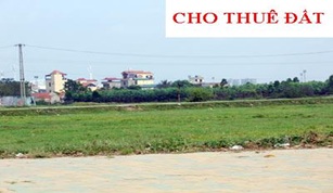 Cho Công ty TNHH một thành viên – Tổng Công ty phát điện 3 thuê 525.600 m2 đất