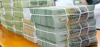 Xử lý nghiêm tình trạng làm giả hồ sơ lâm sản
