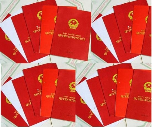 Xử lý nợ đọng tiền sử dụng đất khi cấp GCN quyền sử dụng đất theo hình thức tập trung cho hộ gia đình, cá nhân trên địa bàn tỉnh.