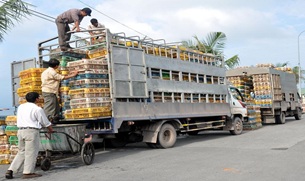 Thực hiện Công điện số 683/CĐ- CP ngày 27/3/2017 của Thủ tướng Chính phủ