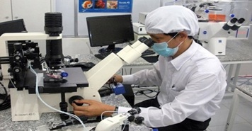 Triển khai Quyết định số 677/QĐ-TTg ngày 18/5/2017 của Thủ tướng Chính phủ