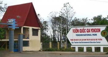 Chuyển giao Vườn quốc gia Yok Đôn về tỉnh Đắk Lắk quản lý
