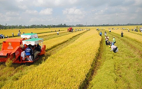 Triển khai chỉ đạo của Văn phòng Chính phủ