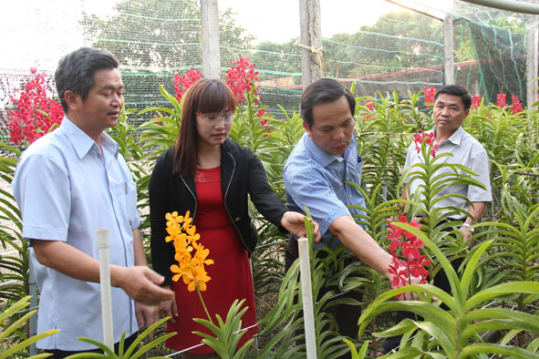 Tham mưu xử lý đề xuất đầu tư các dự án trên địa bàn tỉnh