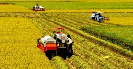 Triển khai Công văn số 884/BCĐ-TTTT của Liên minh HTX Việt Nam