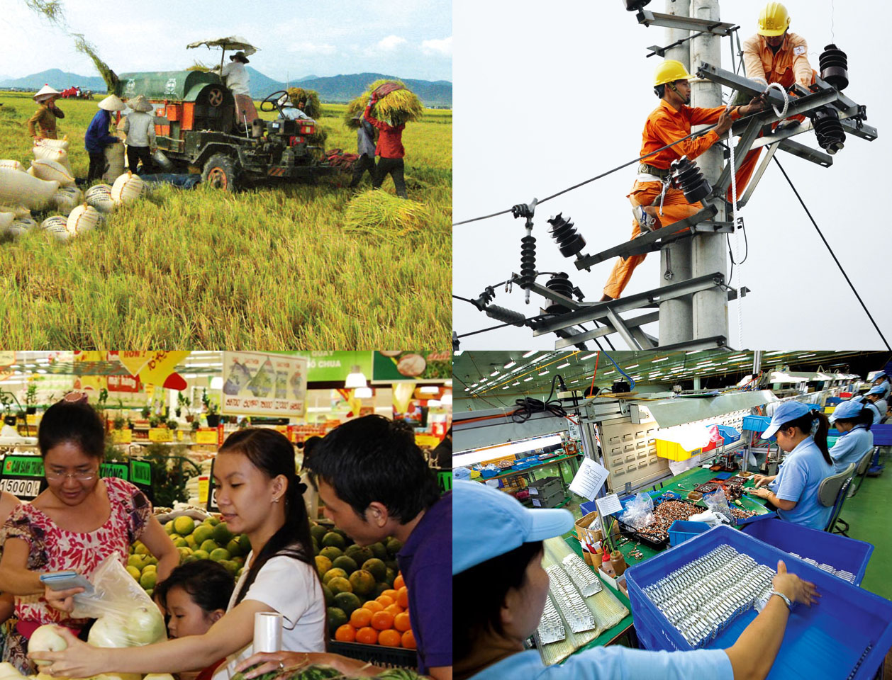 Xây dựng Kế hoạch phát triển kinh tế tập thể năm 2018