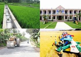 Triển khai Thông tư số 43/2017/TT-BTC ngày 12/5/2017 của Bộ Tài chính