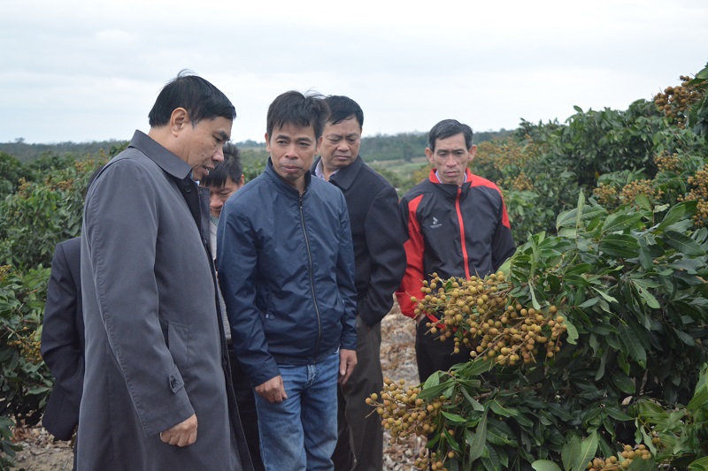 Phó Bí thư Tỉnh ủy Trần Quốc Cường kiểm tra, khảo sát tình hình cơ sở ở huyện M’Đrắk