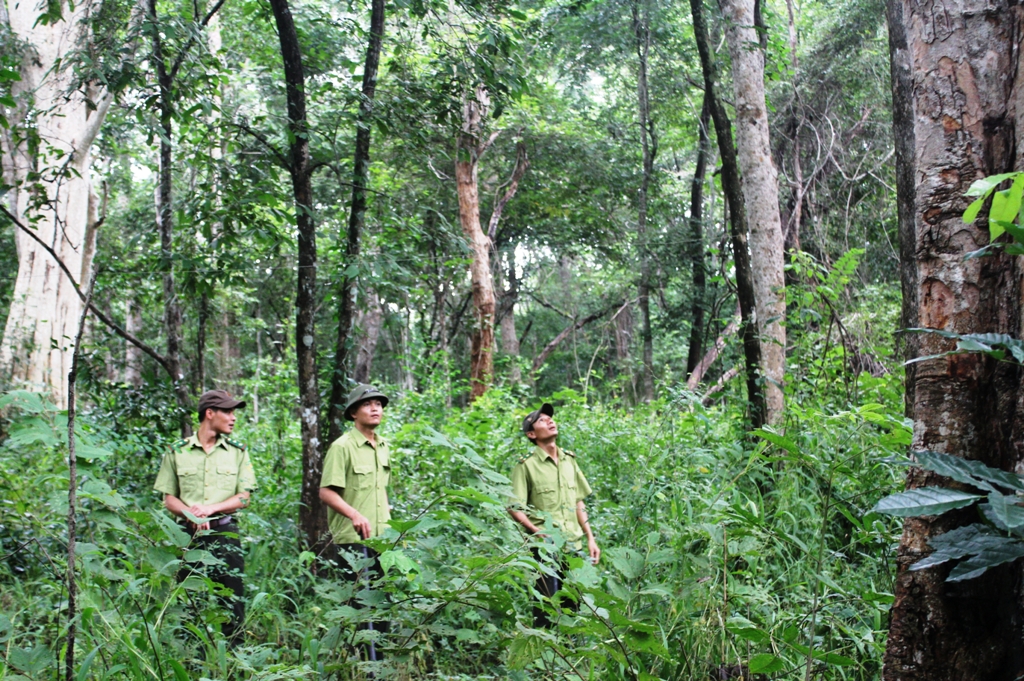Báo cáo chuyển đổi mục đích sử dụng rừng thuộc các dự án quốc phòng- an ninh và KTXH quan trọng trên địa bàn tỉnh đến năm 2020.