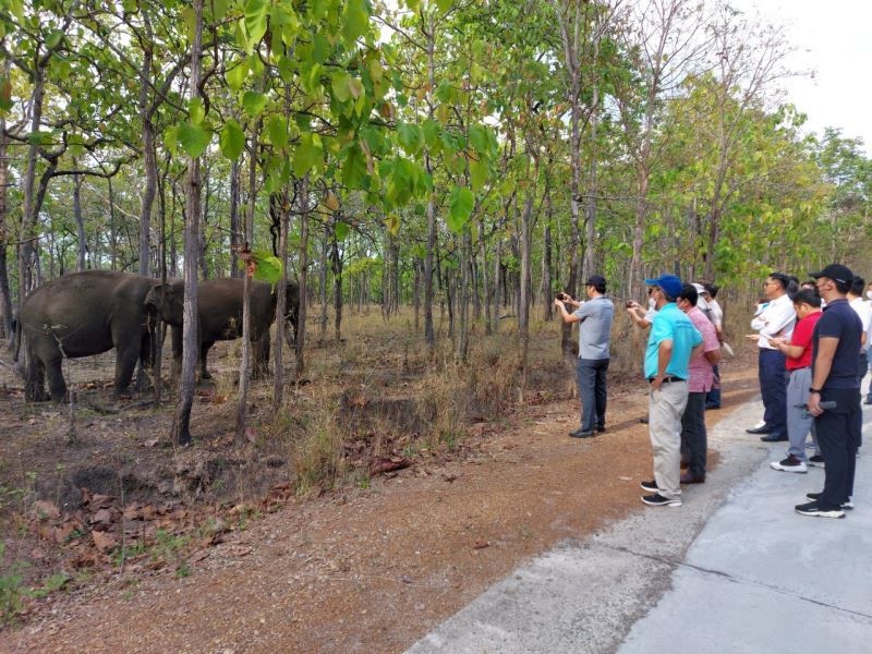 Enterprises offer solutions for tourism recovery in Dak Lak Province