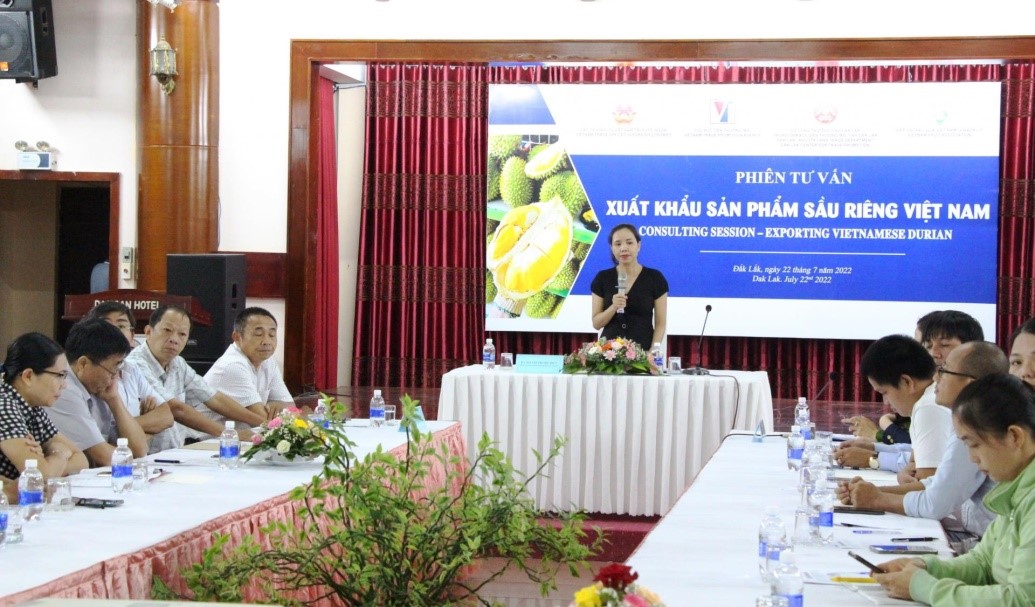 Dak Lak Province gets a head start on the opportunity to officially export durian to the Chinese market