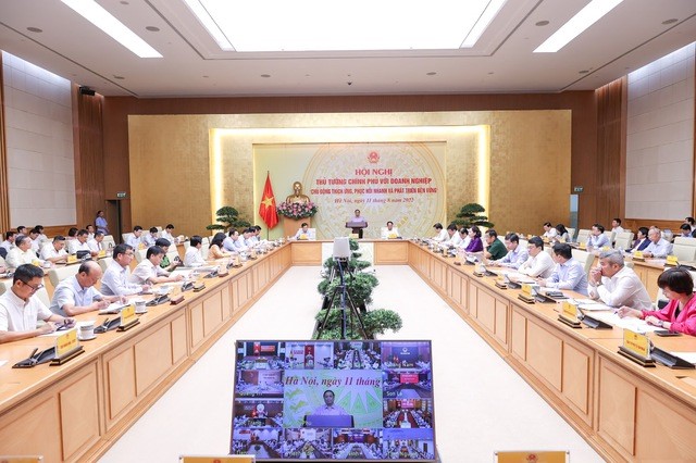 Proactive adaptation, quick recovery and sustainable development