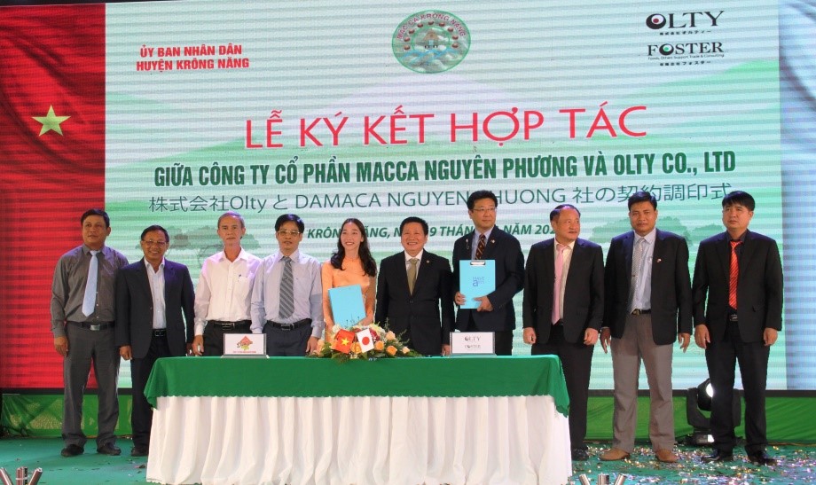 Krong Nang district exported the first batch of 7 tons of Macadamia nuts to the Japanese market
