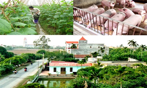 Kết luận của Phó Thủ tướng Vũ Văn Ninh về Chương trình mục tiêu quốc gia xây dựng nông thôn mới.