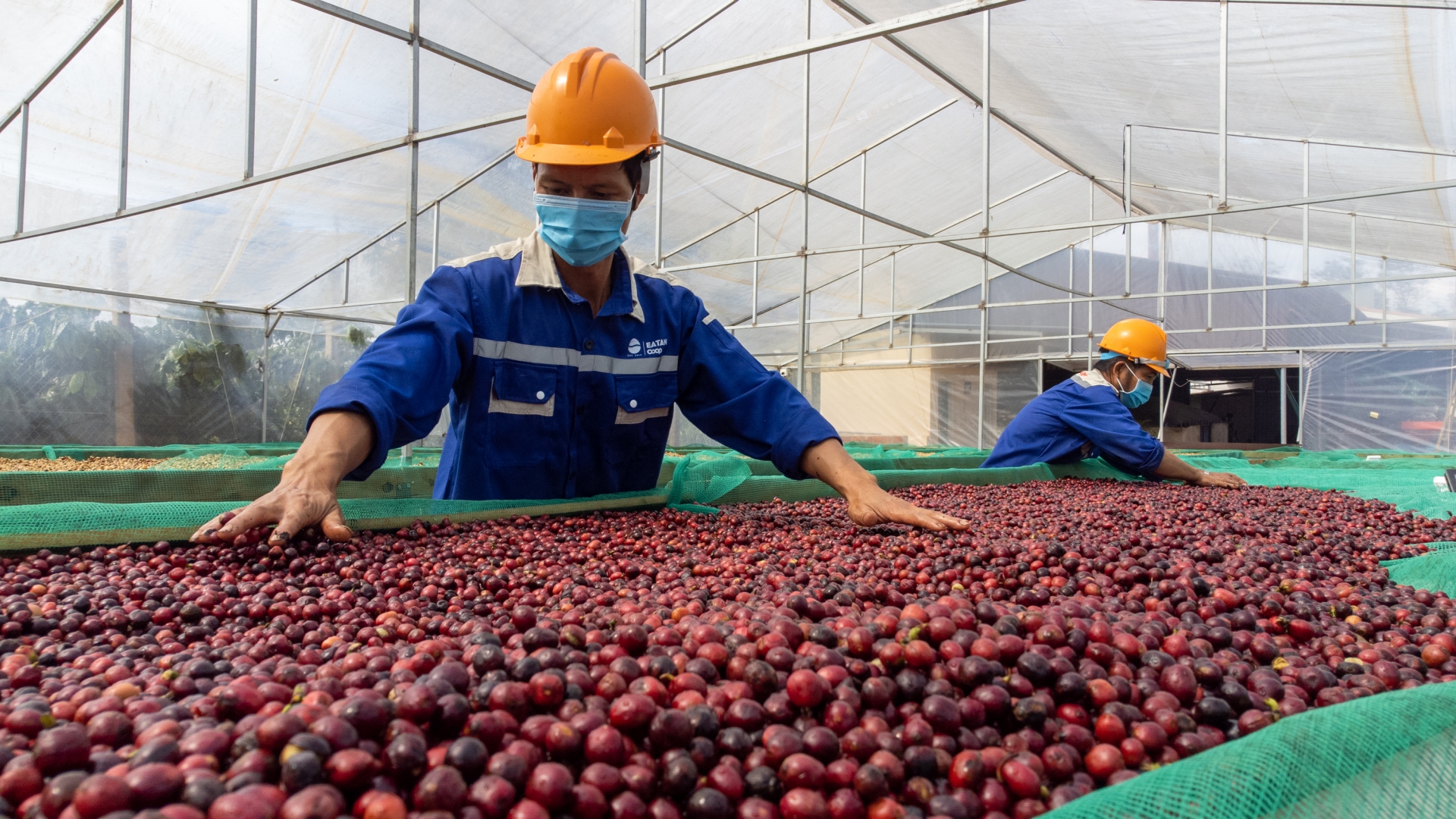 Tập trung phát triển năng lượng tái tạo, công nghiệp chế biến nông, lâm sản và xuất khẩu cà phê cho vùng Tây Nguyên.