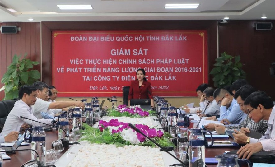 Đoàn Đại biểu Quốc hội tỉnh giám sát tại Công ty Điện lực Đắk Lắk