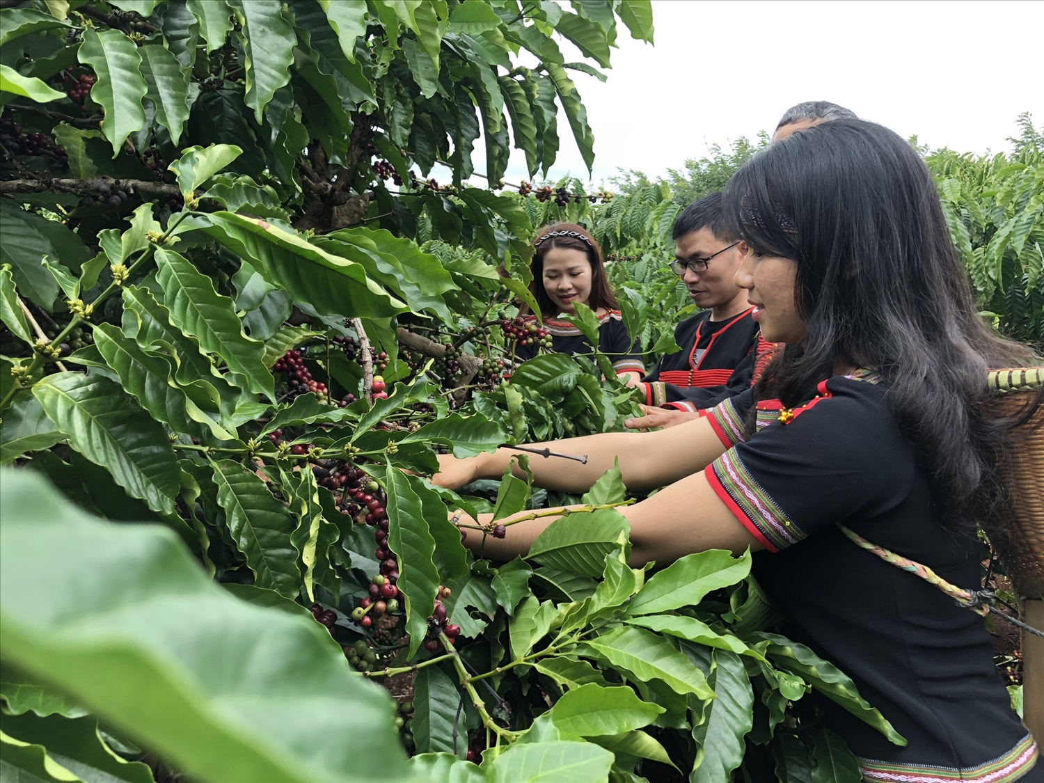 Nhà nông đua tài và tham gia chia sẻ kinh nghiệm tại Lễ hội cà phê Buôn Ma Thuột lần thứ 8 năm 2023.