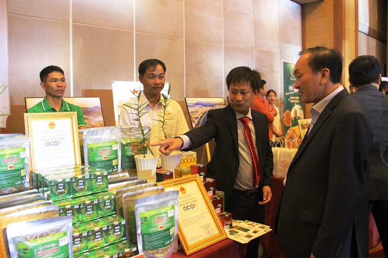 Kết nối, chuyên nghiệp hóa môi trường khởi nghiệp tại Đắk Lắk