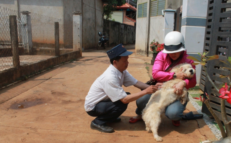 Triển khai chiến dịch tiêm phòng vaccine dại cho chó, mèo từ  25-3 đến ngày 25-4