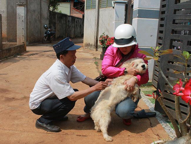 Ghi nhận một trường hợp tử vong nghi do bệnh dại