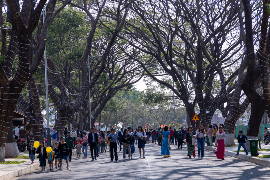 UBND Thành phố Buôn Ma Thuột đề xuất thí điểm triển khai phố đi bộ và dịch vụ xe đạp công cộng