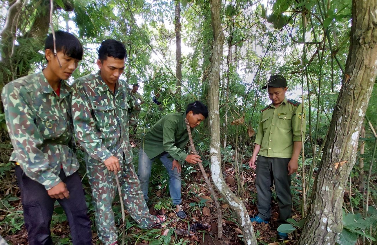 Ra mắt “Tổ Cộng đồng tuần tra bảo vệ rừng”
