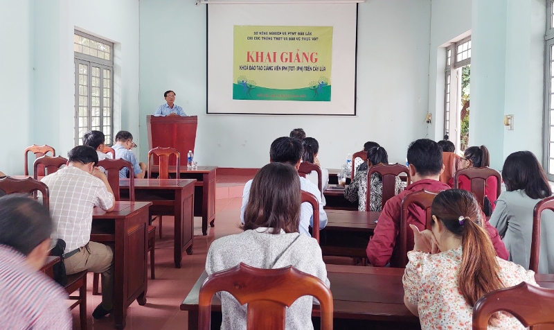 Đắk Lắk khai giảng khóa đào tạo giảng viên IPM trên cây lúa