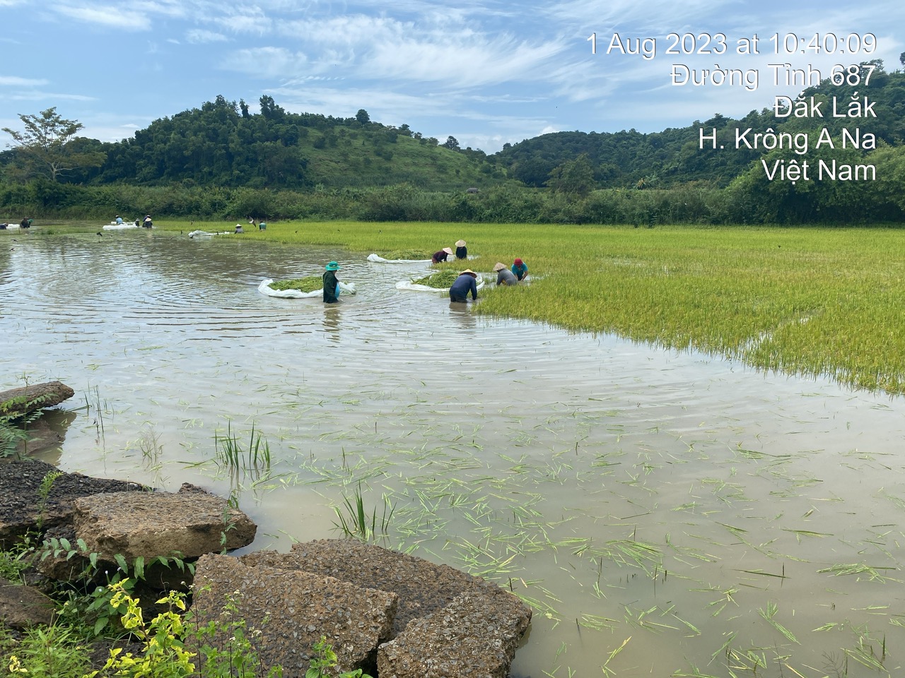 Chủ động phòng chống sạt lở, bảo đảm an toàn tính mạng và tài sản của nhân dân trước và trong mùa mưa lũ