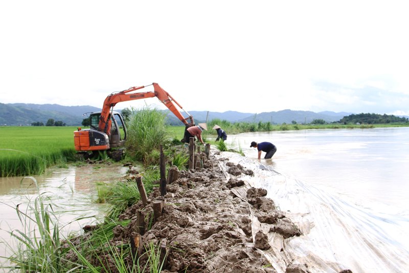 Đắk Lắk đề nghị Trung ương hỗ trợ hơn 94 tỷ đồng khắc phục hậu quả của thiên tai