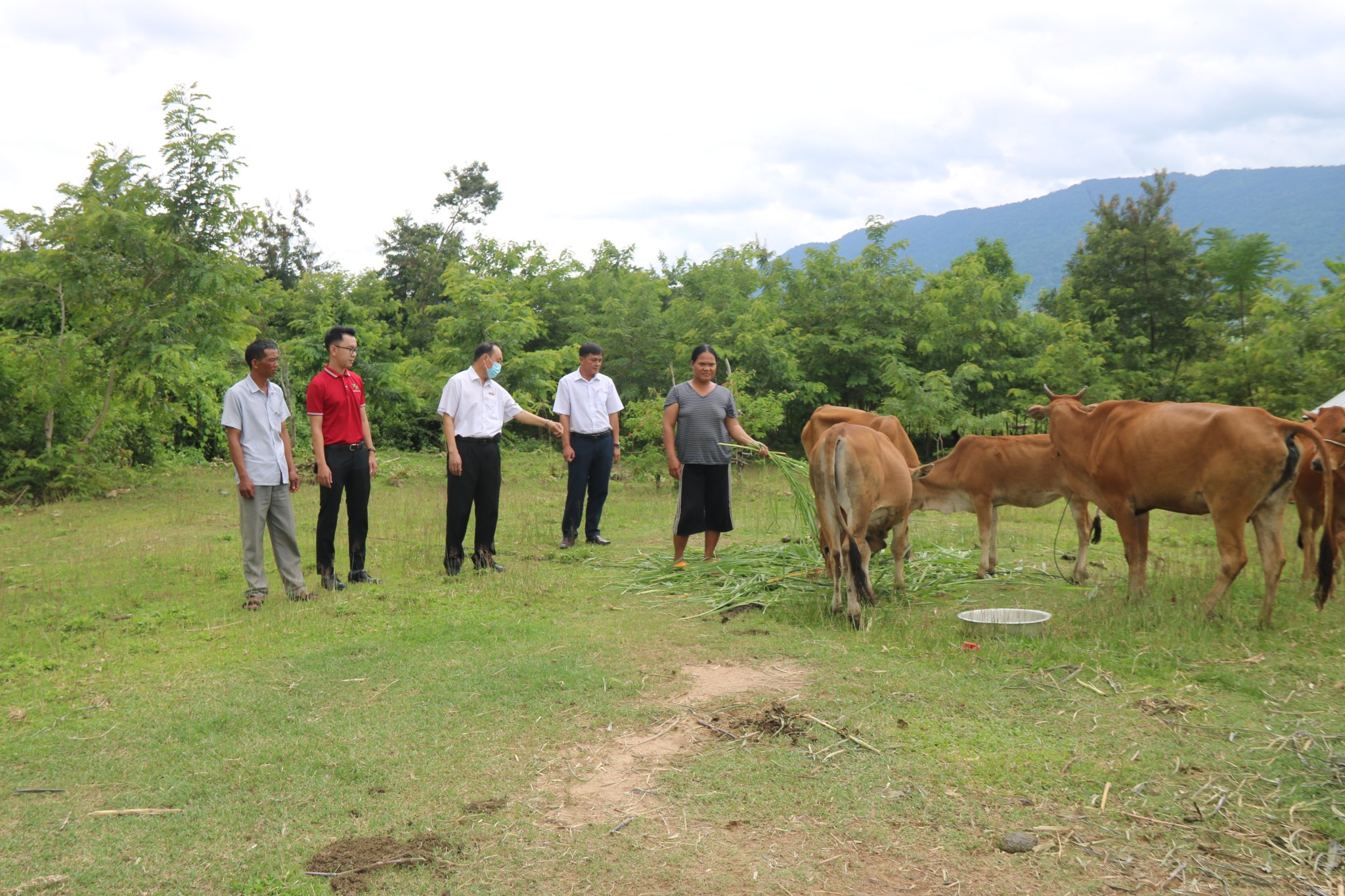 Agribank tỉnh Đắk Lắk: Gần 1.600 tỷ đồng dư nợ cho vay hộ nông dân người dân tộc thiểu số